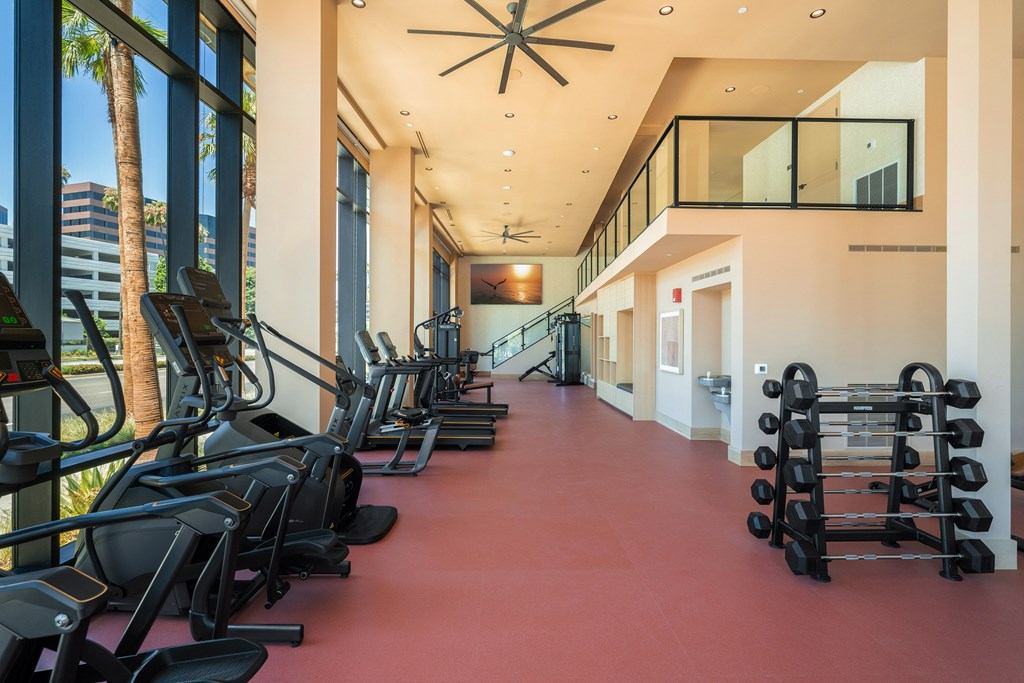 A gym with treadmills, weights and exercise equipment.