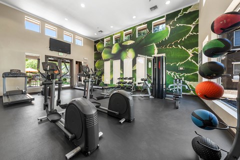 Gym at Stonebridge Ranch Apartments, Chandler