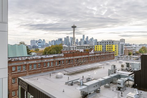 A view of a city skyline from a rooftop.