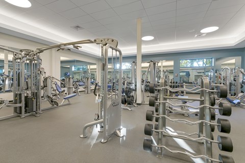 A gym with a variety of equipment including a leg press machine.