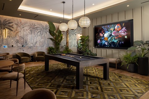 A room with a pool table and a TV showing a colorful image of flowers.