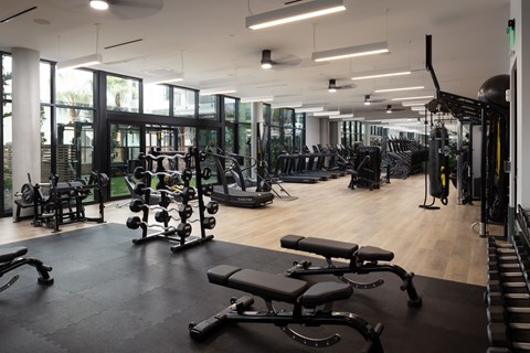 A gym with a variety of equipment including weights and treadmills.