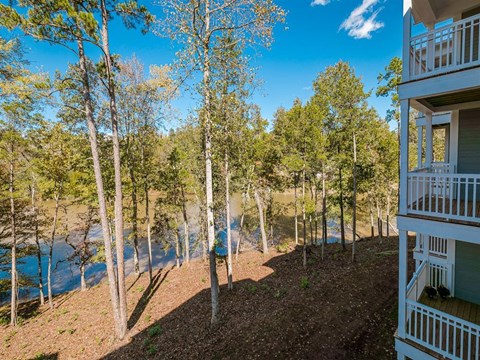 The Village At Westland Cove