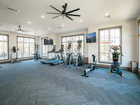 The Village At Westland Cove