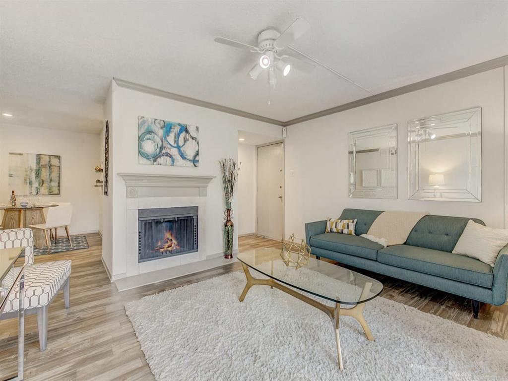 Adair Off Addison - New