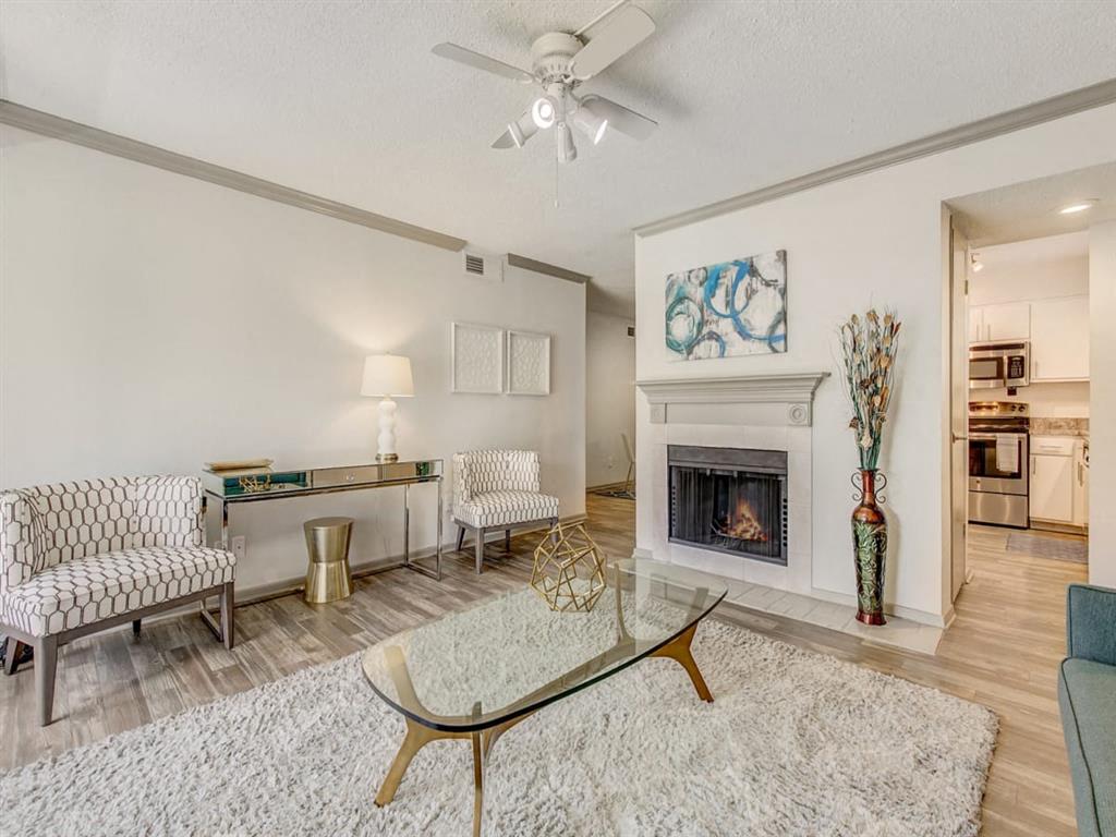 Adair Off Addison - New