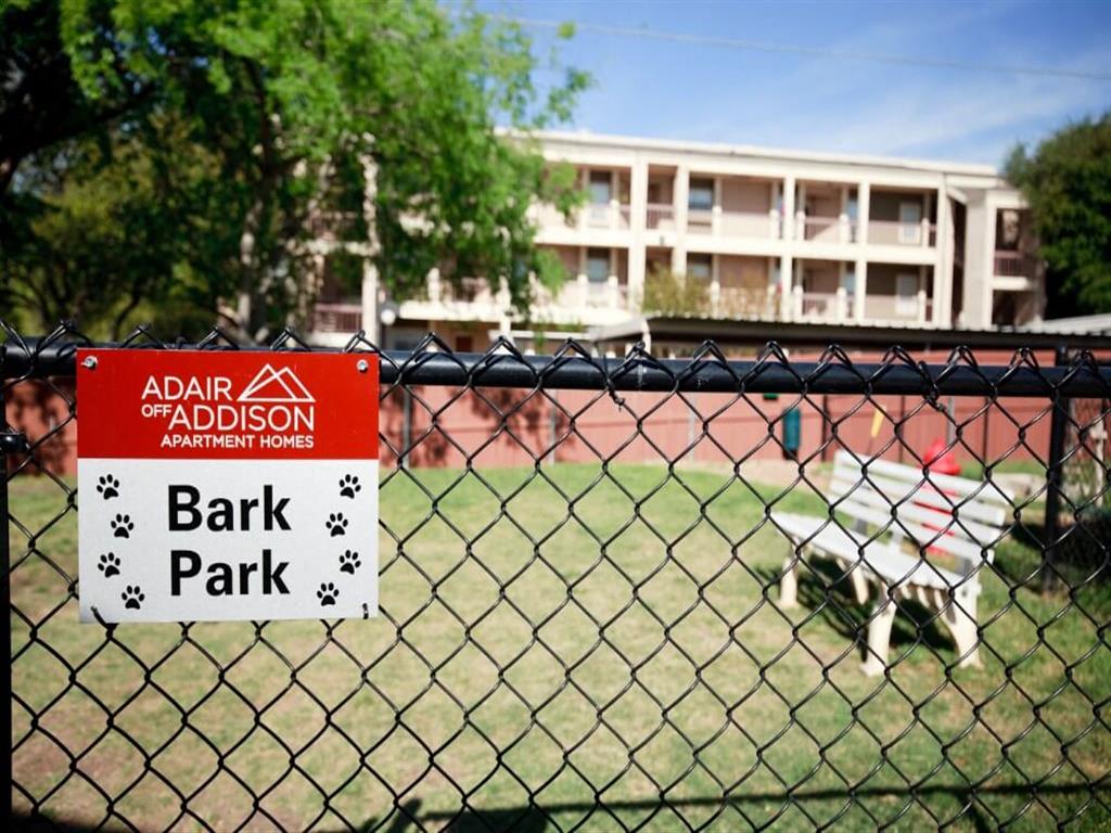 Adair Off Addison - New