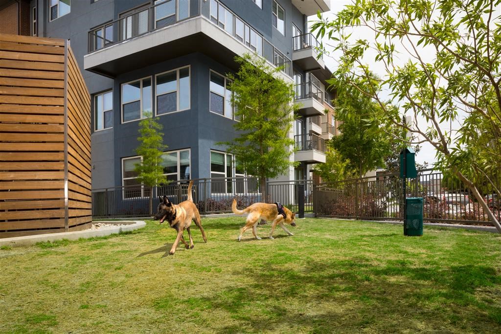 The Briscoe Apartments, 12639 Coit Rd, Dallas, TX RentCafe