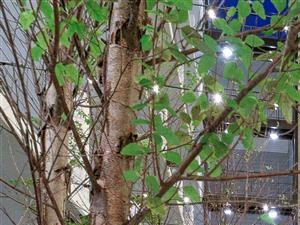 Courtyard - Photo Gallery 3