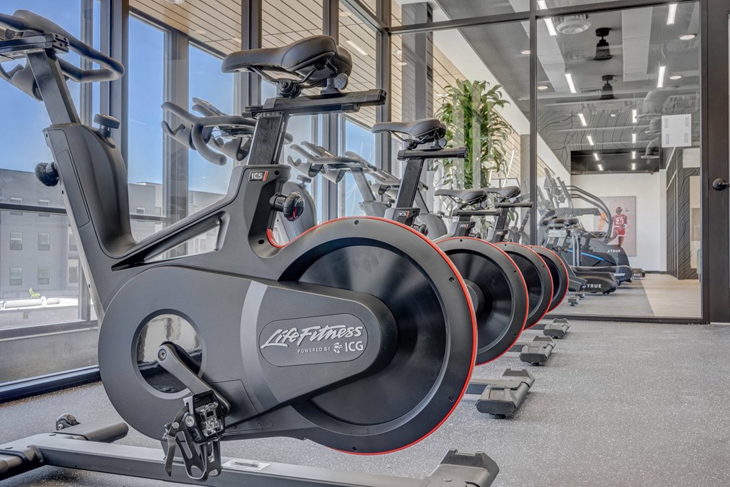 A row of stationary bikes are lined up in a gym.