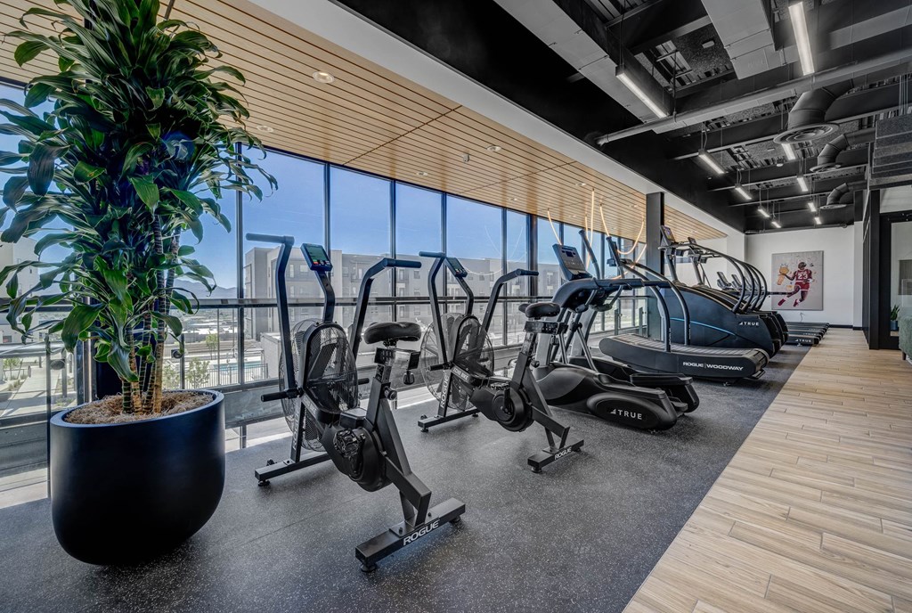 A gym with treadmills, exercise bikes, and a potted plant.