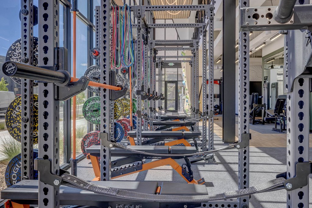 A gym with a variety of equipment including a squat rack and a bench press.
