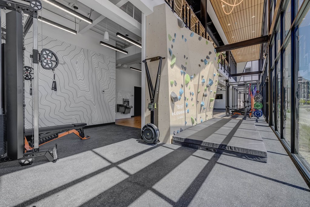A gym with a climbing wall and a row of treadmills.