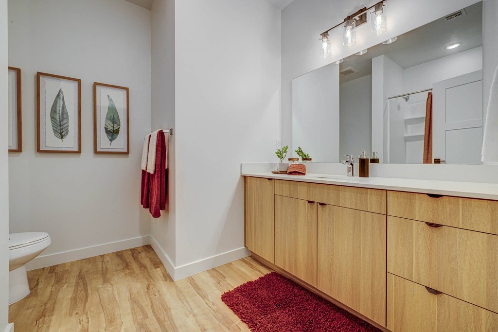 a bathroom with a sink and a toilet and a mirror