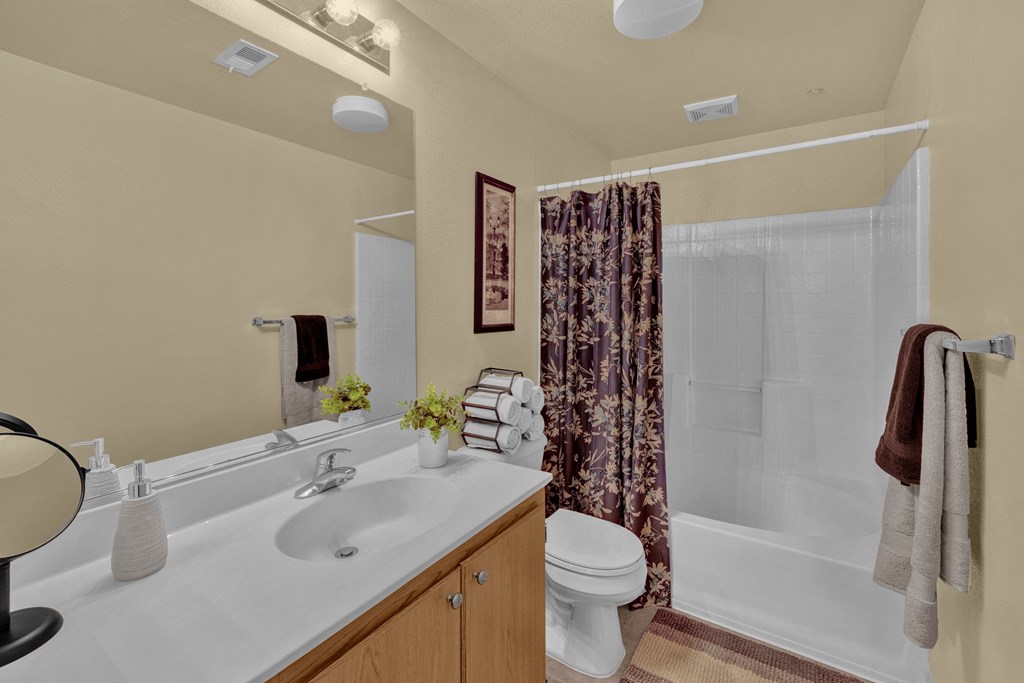 Model Bathroom at Terra Vista in Otay Ranch, CA