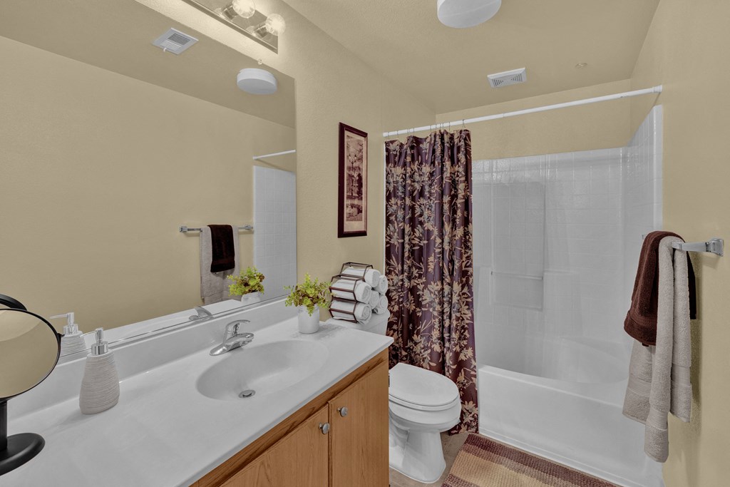 Bathroom at Terra Vista Apartments