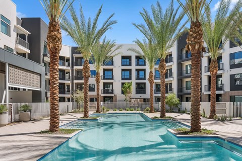 A swimming pool surrounded by palm trees and modern buildings.
