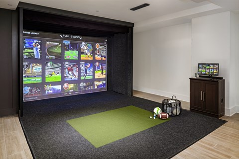 a living room with a large screen on the wall and a green rug