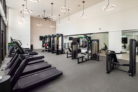 a large gym with treadmills and other exercise equipment