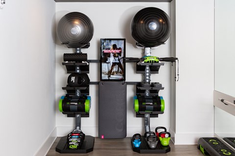 a home gym with weights and cardio equipment