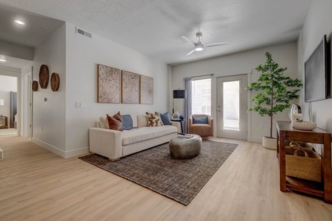 A living room with a couch, a rug, a ceiling fan, and a plant.