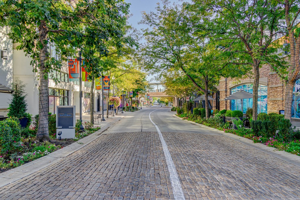 A tree-lined street with a brick road and buildings on either side.