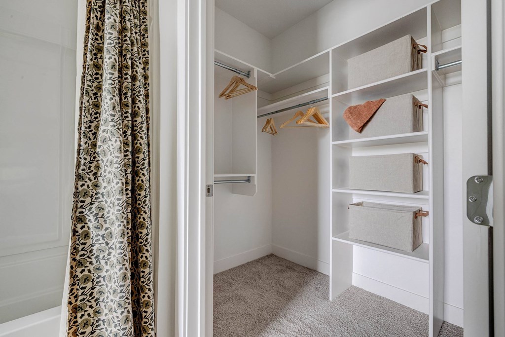 A white closet with a curtain and a carpet.