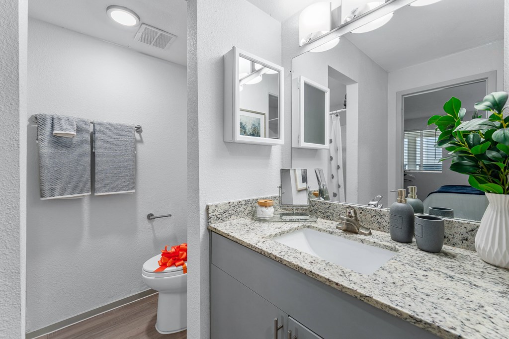 A bathroom with a toilet, sink, mirror, and a potted plant.