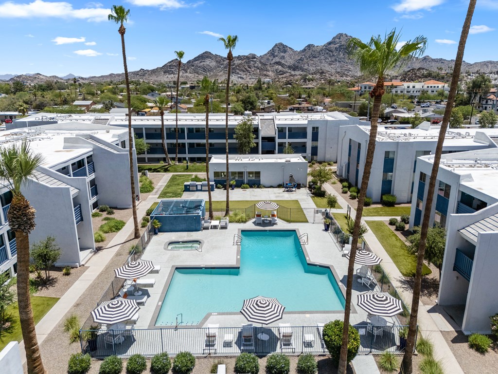 Pool with palm trees at The Halifax apartments in Phoenix, AZ.