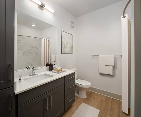 a bathroom with a sink and a toilet