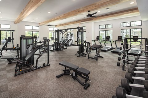 A spacious gym with a variety of equipment including treadmills, weights, and a bench.