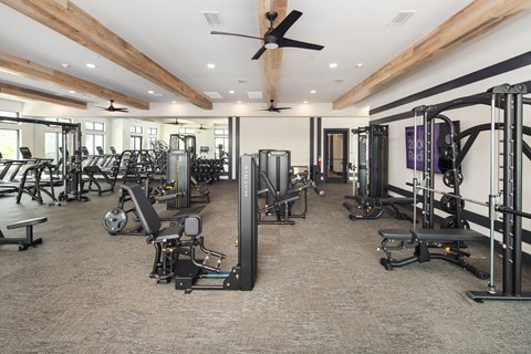 A spacious gym with a variety of equipment.