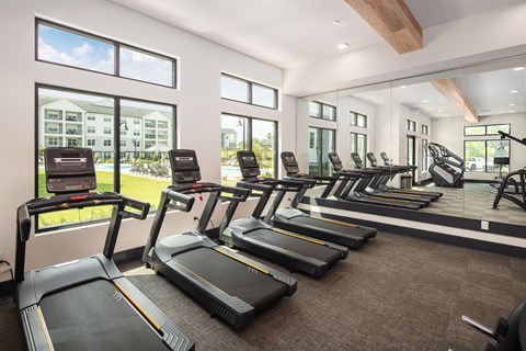 A gym with treadmills and exercise equipment.