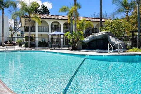 Pool and Spa