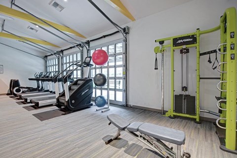 A gym with a variety of equipment including treadmills, weights, and a bench.