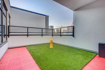 Dog area - Photo Gallery 31