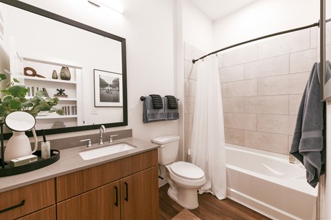 a bathroom with a sink and a toilet and a shower