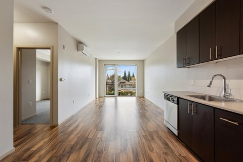 kitchen and living room