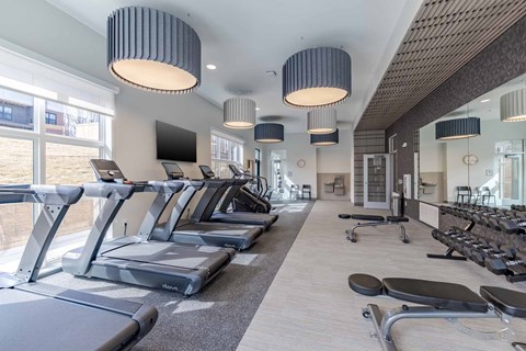 A gym with treadmills and exercise equipment.