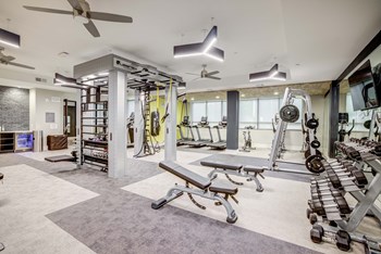 Fitness center with free weights and TRX bands - Photo Gallery 5