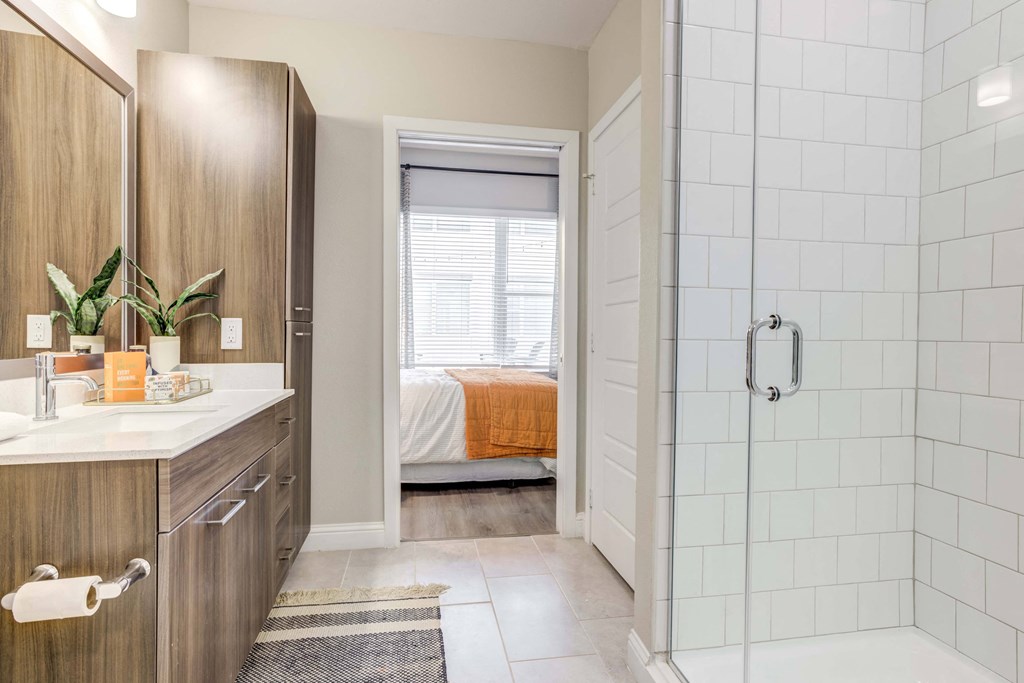 walk in shower and quartz countertops