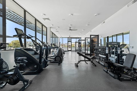 the gym has plenty of weights and cardio machines and floor to ceiling windows