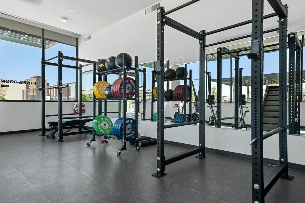 the home has a gym with weights on the racks