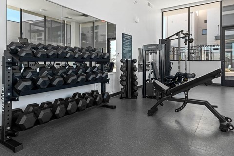 the gym has weights and cardio equipment in the wellness center
