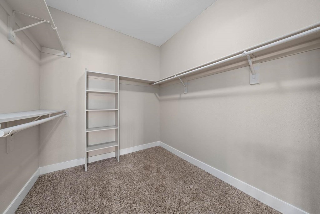 a large closet with shelves, ceiling lighting, carpet floors