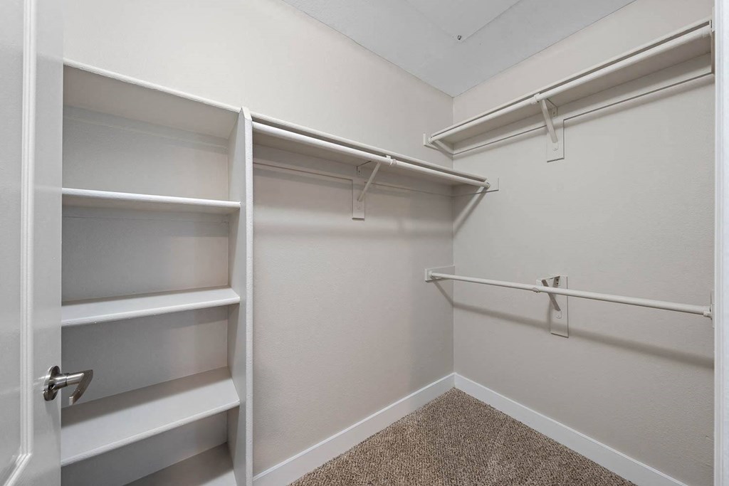 A large closet with shelves, carpet floors, ceiling lighting