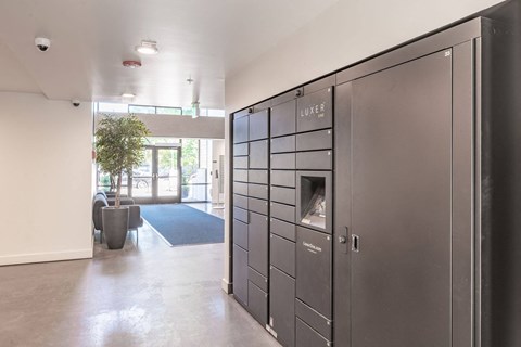 a row of lockers in a room with a tree in the corner
