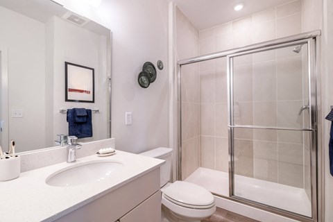 a bathroom with a shower toilet and sink