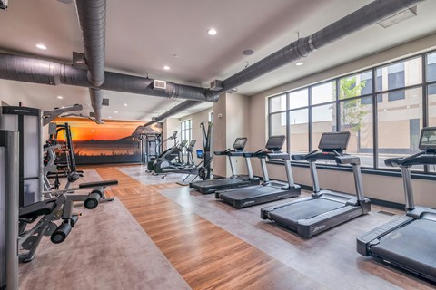 a gym with treadmills and other exercise equipment