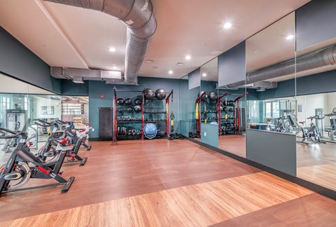 free weights and cardio machines